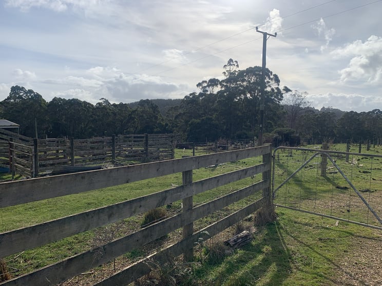 Click to view all images 0 Studderds Road Moorleah TAS 7325 - Image 2