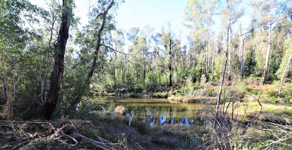 Lot 34, 35, 36 Monaro Highway Rockton NSW 2632 - Image 1
