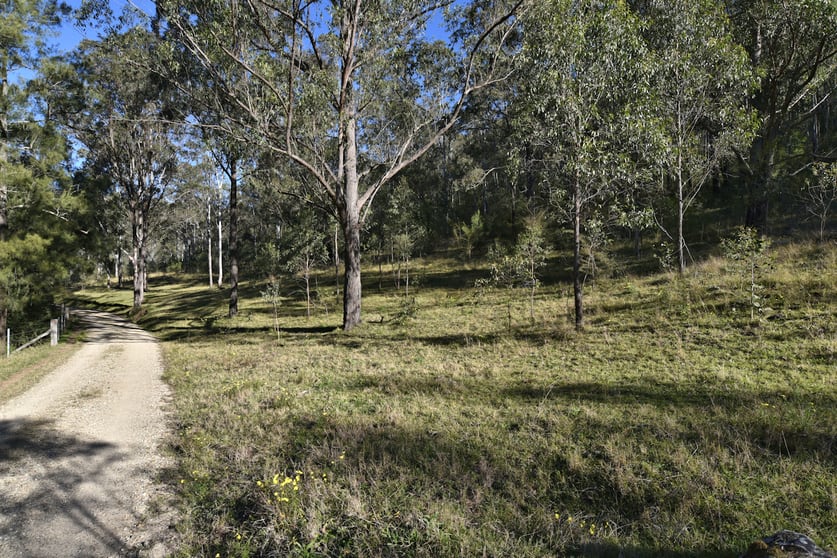 Click to view all images Old Convict Road Paynes Crossing NSW 2325 - Image 3