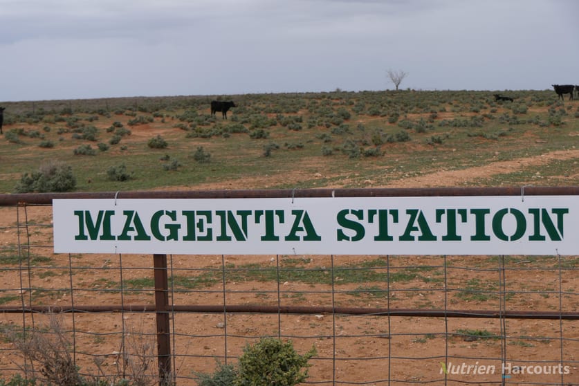 Click to view all images * Magenta Aggregation Balranald NSW 2715 - Image 2