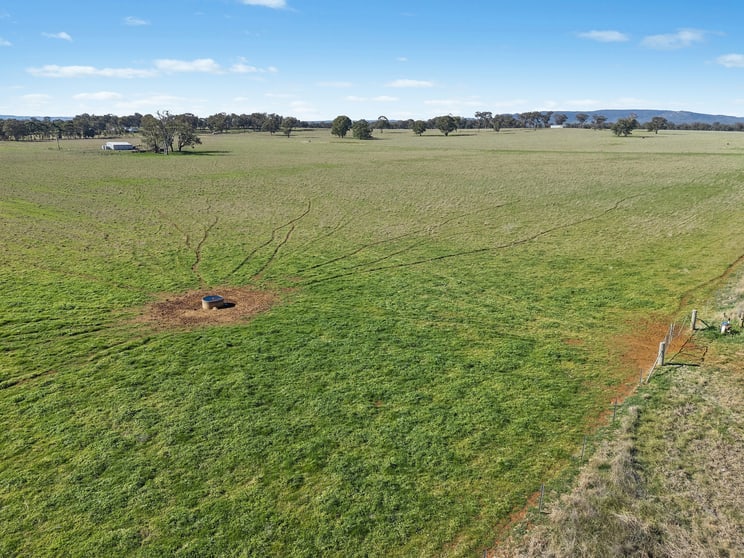 Click to view all images Lots 39 & 118 Of 2611 Henry Lawson Drive Gulgong NSW 2852 - Image 3
