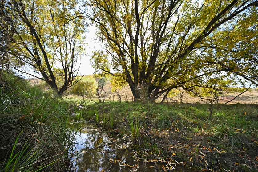 Click to view all images 2585 Burraga Road Burraga NSW 2795 - Image 3