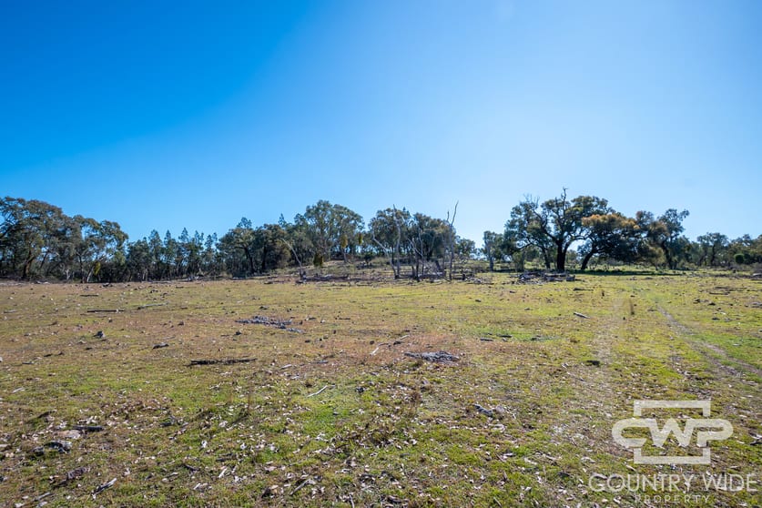 Click to view all images 16, 18, - Emmaville Rd Emmaville NSW 2371 - Image 2