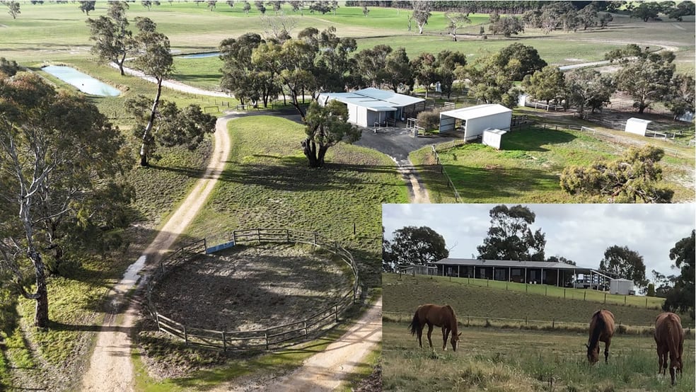 Click to view all images 2773 Naracoorte Road Bordertown SA 5268 - Image 1
