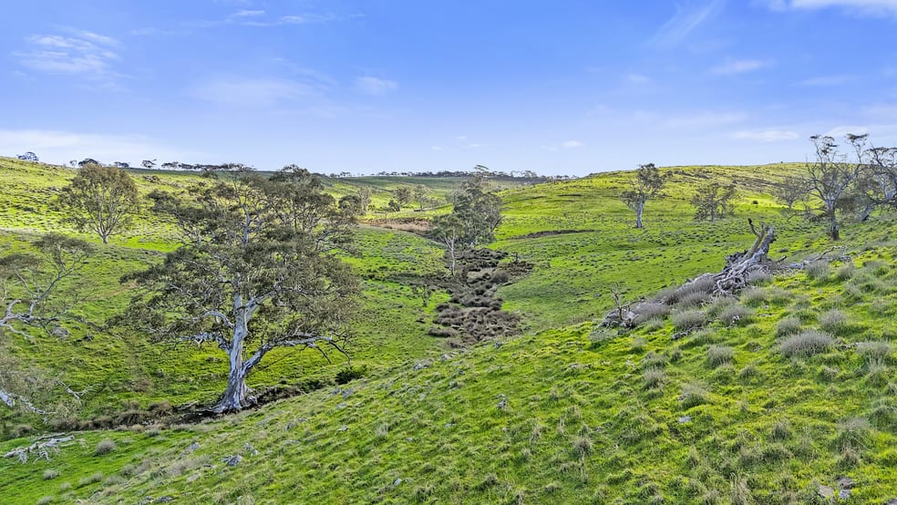 Click to view all images Lot 1240-1242 Falkai Road Highland Valley SA 5255 - Image 2