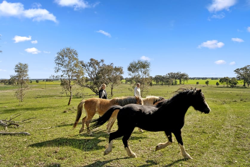 Click to view all images 150 Wangaratta Road Lake Rowan VIC 3727 - Image 3