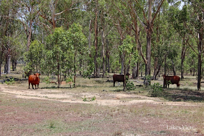 Click to view all images Gladstone Monto Road Boyne Valley QLD 4680 - Image 3