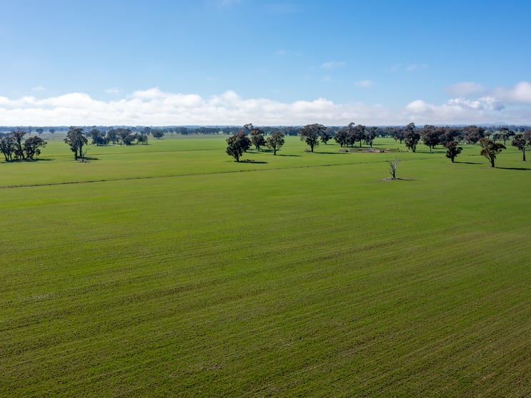 CA 42 & 43 / PP2180 Boralma-Rutherglen Road Springhurst VIC 3682 - Image 2