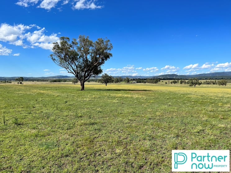 205 Gidley-Appleby Road Tamworth NSW 2340 - Image 2