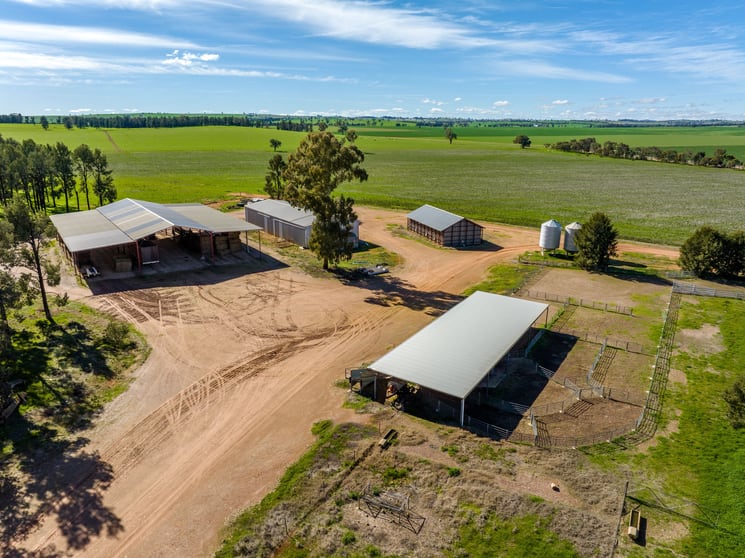 2214 Coolamon Road Coolamon NSW 2701 - Image 2