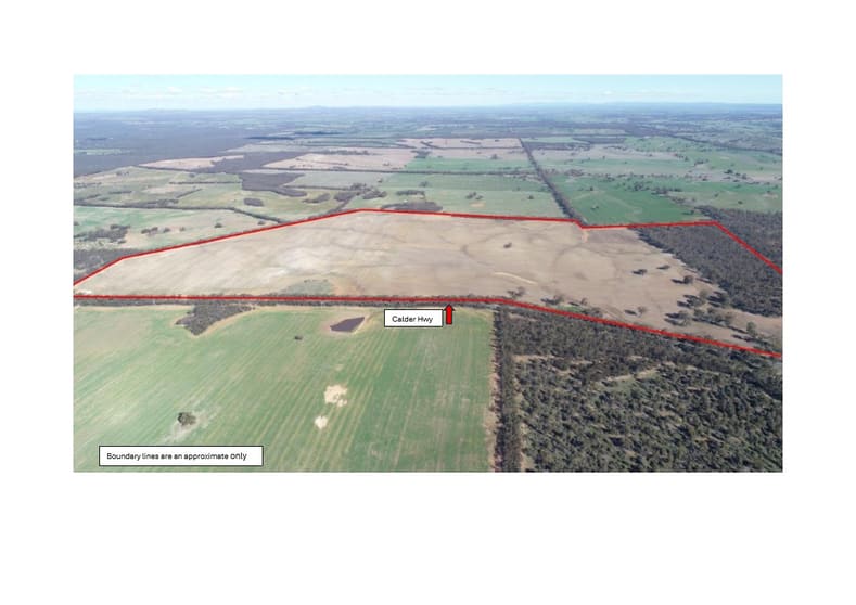 54/54 Calder Highway Wedderburn VIC 3518 - Image 1