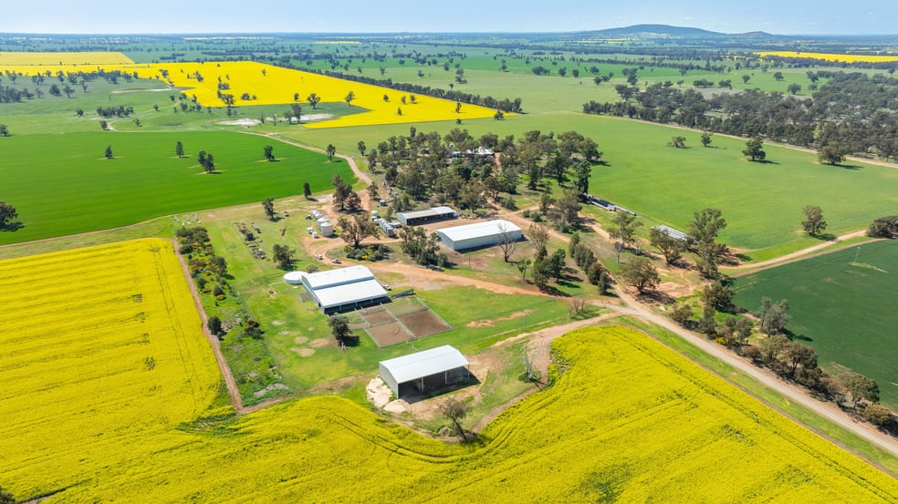 BOOROOL Mossdale Road Balldale NSW 2646 - Image 1