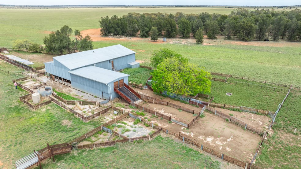 North Yathong Jerilderie NSW 2716 - Image 3