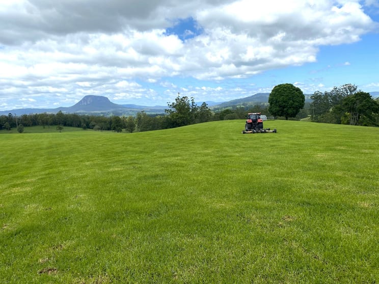 Click to view all images 14072 Mount Lindesay Hwy Woodenbong NSW 2476 - Image 3