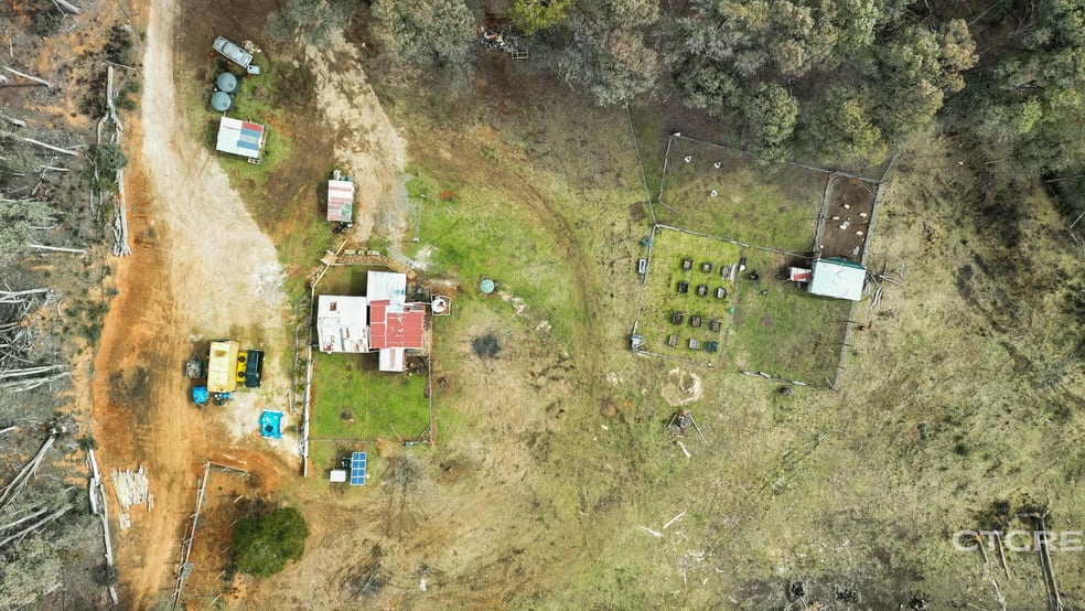 Click to view all images 1695 Bendoc-Orbost Road Bendoc VIC 3888 - Image 2