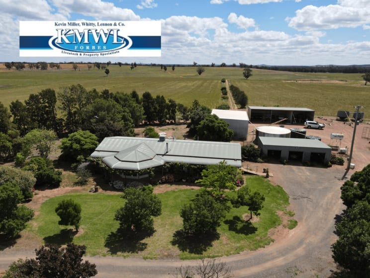 Click to view all images 893 Deaths Lane Pullabooka NSW 2810 - Image 1