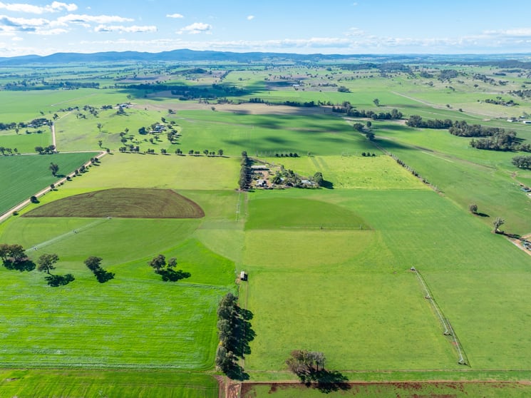 Click to view all images 164 Settlement Bridge Road Canowindra NSW 2804 - Image 3