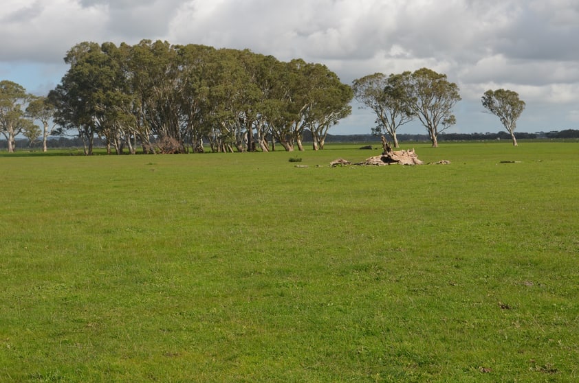Click to view all images 1805 Manga Road Kalangadoo SA 5278 - Image 3