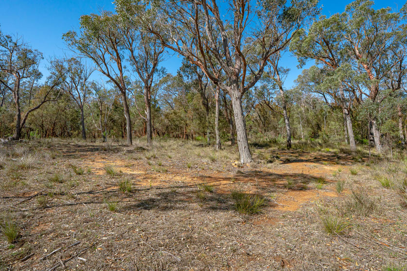 Click to view all images 55 Gumnut Crescent Bungonia NSW 2580 - Image 1