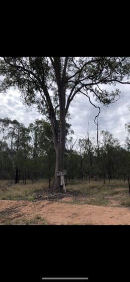 Click to view all images Lot 190 Golden Glow Road Tara QLD 4421 - Image 1