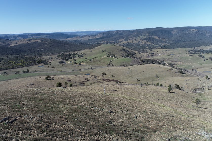 2577 Freemantle Road Killongbutta NSW 2795 - Image 3