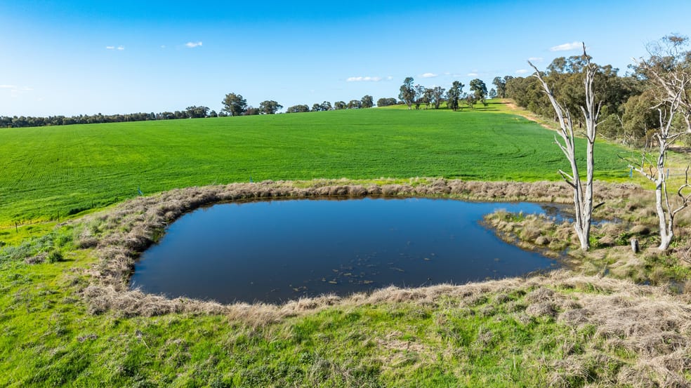 Click to view all images 'Blossom Farm' Klemkes Road Henty NSW 2658 - Image 2