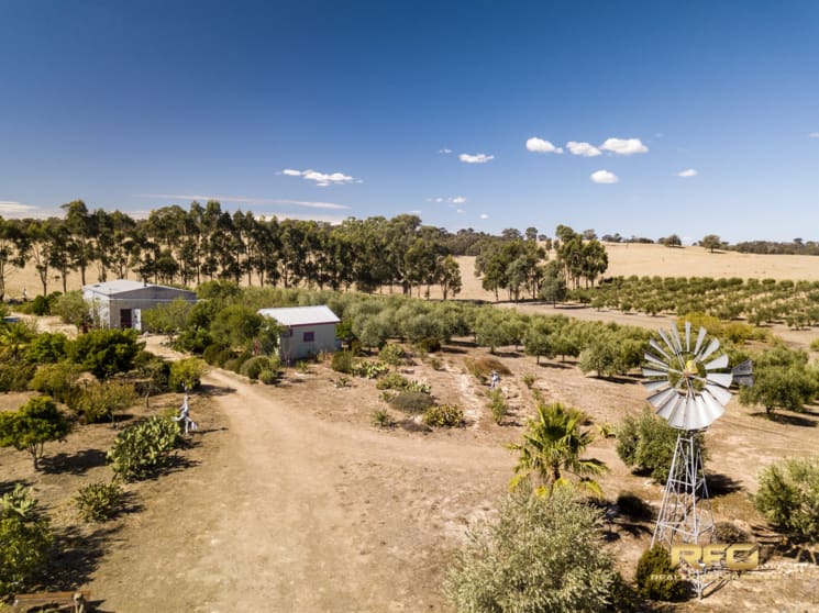 Click to view all images 3450 Sunraysia Hwy Stuart Mill VIC 3477 - Image 2