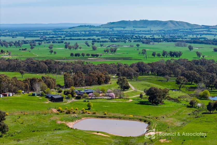 1417 Buckland Gap Road Murmungee VIC 3747 - Image 2