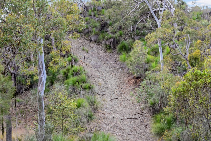 Click to view all images Mount Coora Road Black Snake QLD 4600 - Image 3