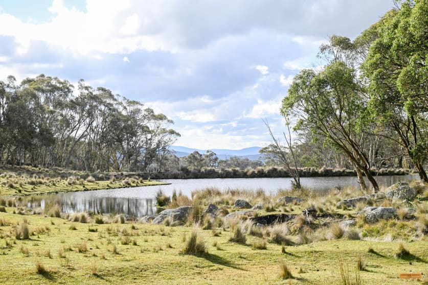 Click to view all images "Hobbs Range" 40 Hobbs Lane Moonbah NSW 2627 - Image 2