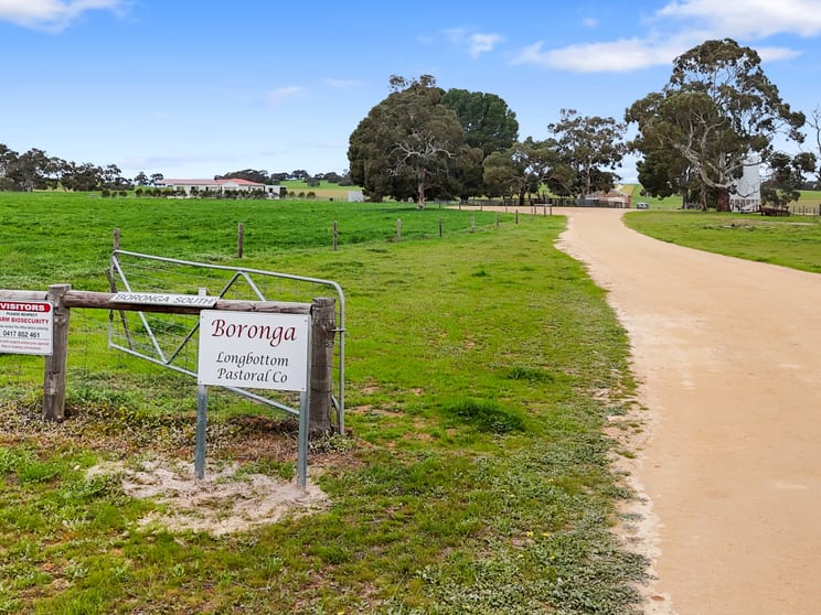 Click to view all images 559 Old Stone Tank Road Mundulla SA 5270 - Image 2