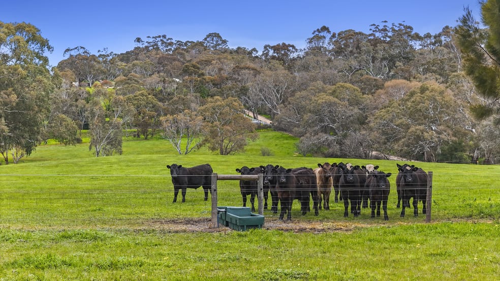 Click to view all images A300 Bonython Road Bugle Ranges SA 5251 - Image 2