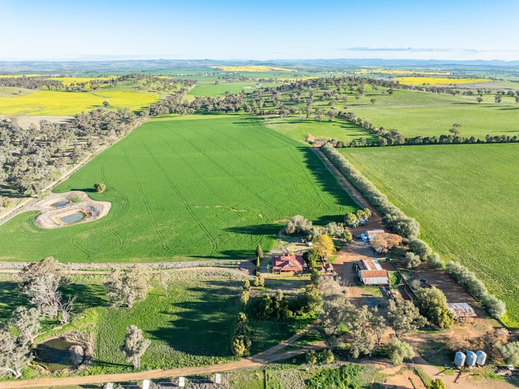 Click to view all images 'Canford' 264 Canford Lane Canowindra NSW 2804 - Image 1