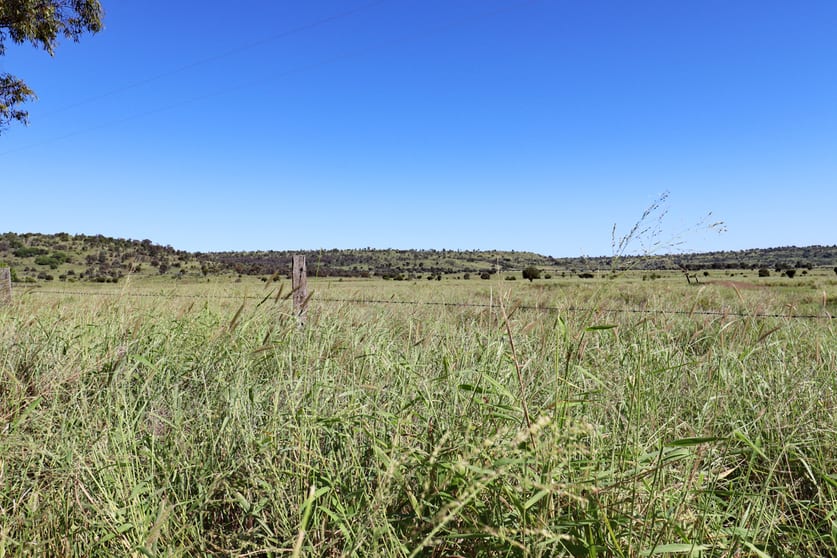 Click to view all images 746 Semples Road Prospect QLD 4715 - Image 2