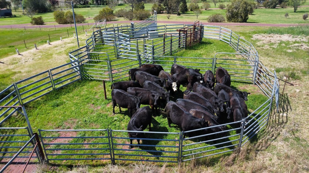 Click to view all images Young NSW 2594 - Image 2