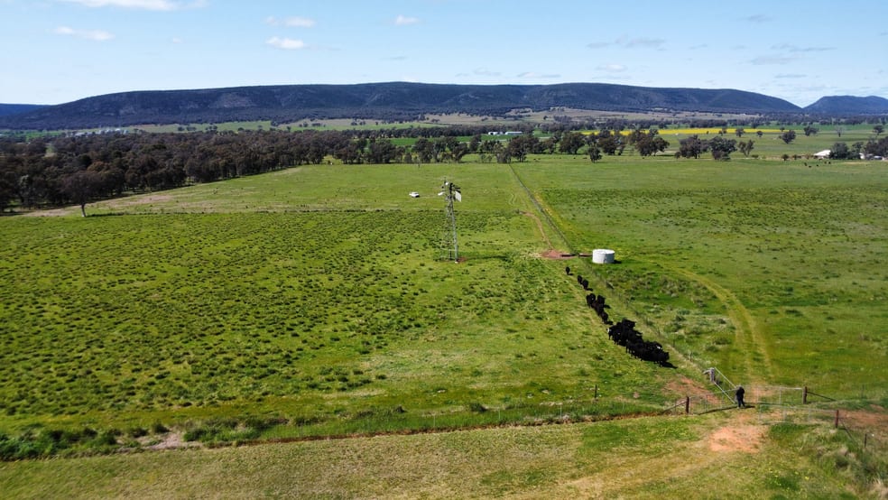 Click to view all images Young NSW 2594 - Image 3