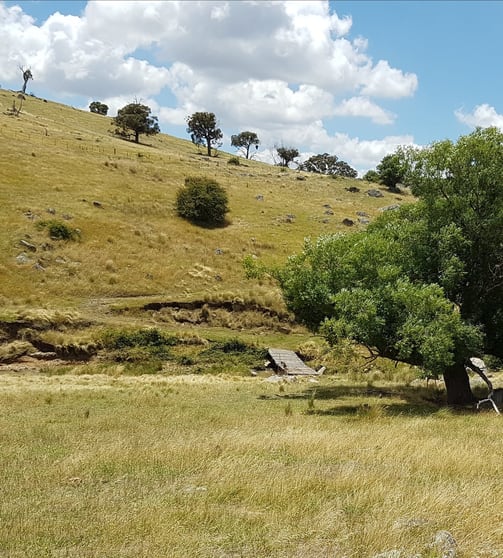 2400 Sapphire Road Wheeo NSW 2583 - Image 3