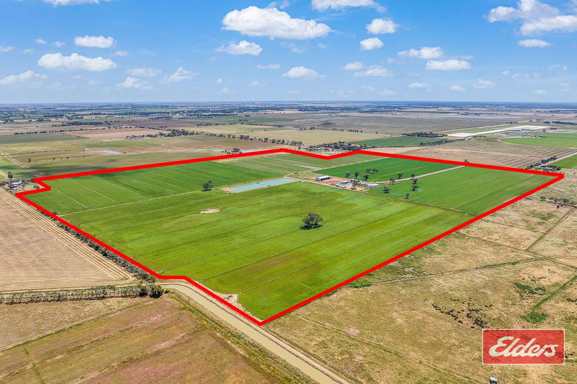 459 Echuca West School Road Echuca VIC 3564 - Image 1