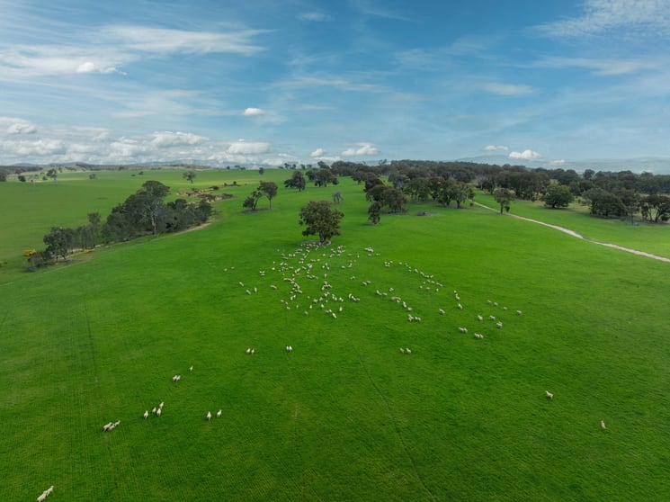4040 Sunraysia Highway Lexton VIC 3352 - Image 2
