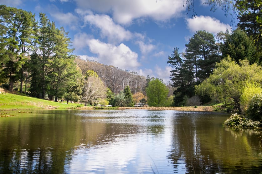 Click to view all images 140 Gully Road Carey Gully SA 5144 - Image 1