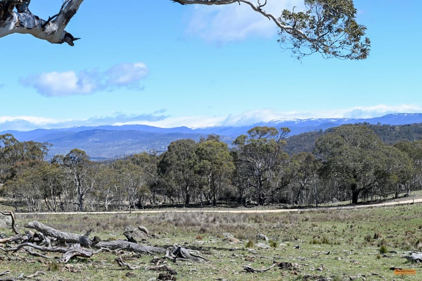 Click to view all images "King's Ridge" 698 Avonside Road Avonside NSW 2628 - Image 2