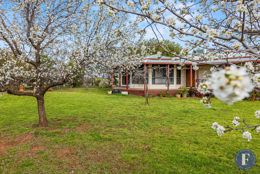 Click to view all images 893 Deaths Lane Pullabooka NSW 2810 - Image 1