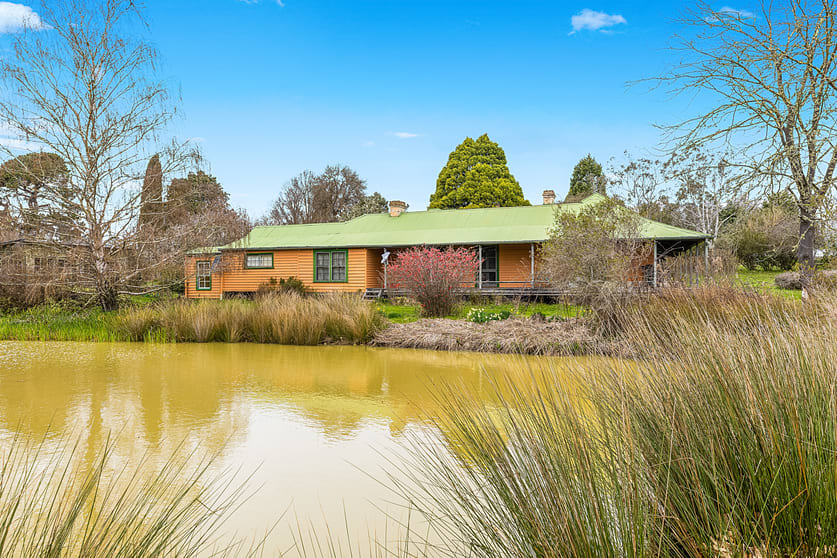 171 Big Flat Road Bombala NSW 2632 - Image 3