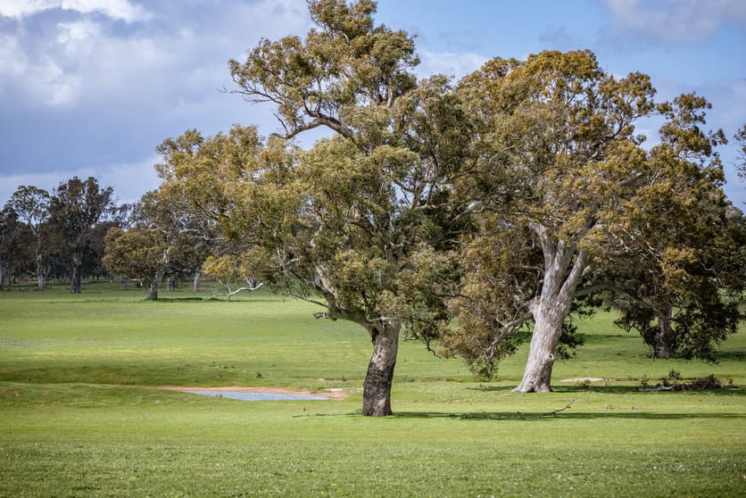 Click to view all images 30 Armidale Rd Coojar VIC 3315 - Image 3