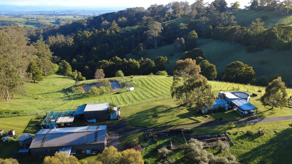 504 Warragul-Leongatha Road Seaview VIC 3821 - Image 3