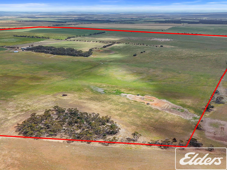 571 Kangaroo Road Langhorne Creek SA 5255 - Image 3