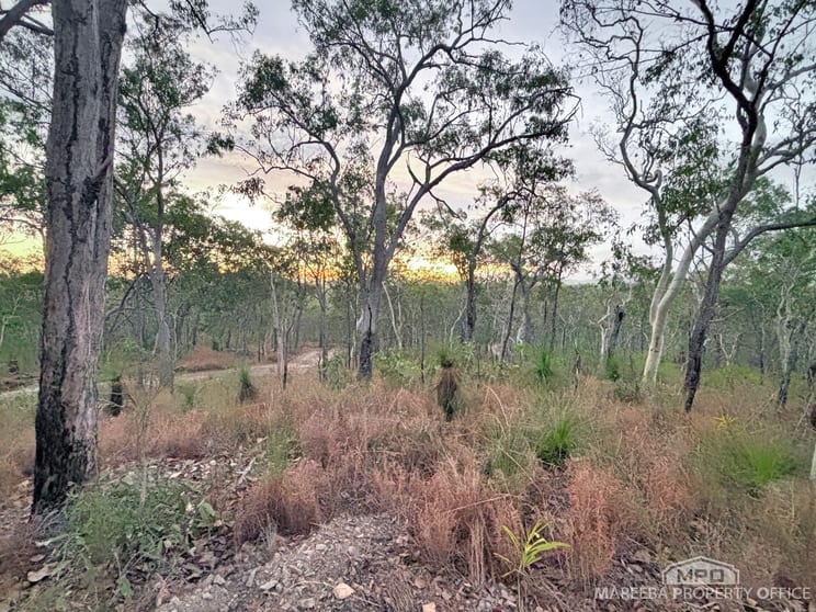 176 Fantin Road Koah QLD 4881 - Image 3