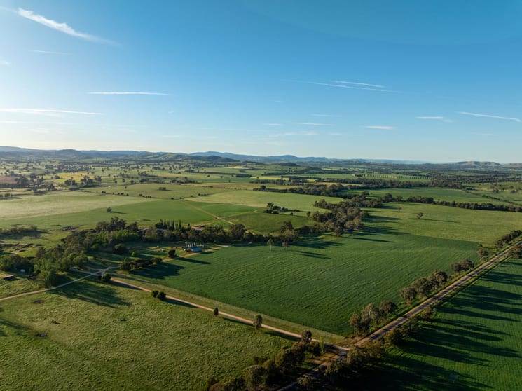 Click to view all images 921 Fellow Hills Road Mountain Creek NSW 2644 - Image 3