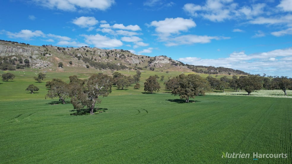 Lot 2 Beaufort-Waubra Road Ercildoune VIC 3352 - Image 3