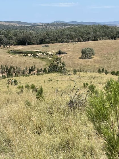 Click to view all images Lot 9 Silver Spur Redgate Road Silver Spur QLD 4385 - Image 3
